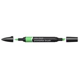 Winsor Newton 253 Grass Brusmarker