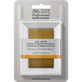 Winsor & Newton : Professional : Dev Tablet Sulu Boya : Raw Umber