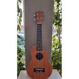 Wizzy Elektro Ukulele