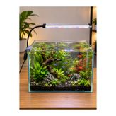WOLFMAR Akvaryum Led Aydınlatması 20cm