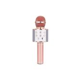 WS-858 Karaoke Mikrofon Aux Usb Ve Sd Kart Girişli Bluetooth Hoparlör Rose Gold