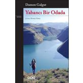 Yabancı Bir Odada - Damon Galgut