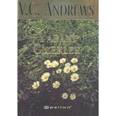Yabani Çiçekler - V.c. Andrews (1.baskı)