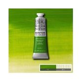 YAĞLI BOYA 37 ML. 11 CHROME GREEN HUE