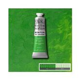YAĞLI BOYA 37 ML. 48 PERMANENT GREEN LİGHT
