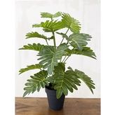Yapay Ağaç Salon Bitkisi Syngonium 70 Cm 18 Yaprak Antrasit Saksıda