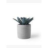 Yapay Bitki Sukulent(13x13 Cm)