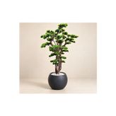 Yapay Bonzai Ağacı 160 CM
