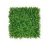 Yapay Çamdalı Bitki Duvar Kaplama 50x50 Cm Açık Yeşil