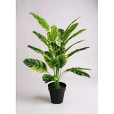 Yapay Çiçek Çizgili Muz Yapraklı Alaca Starliçe Salon Çiçeği 18Dal 80*50Cm Yapay Bitki
