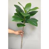 Yapay Çiçek Deposu Yapay Ağac Kauçuk Bitkisi Dalı 85 cm (Saksısız)