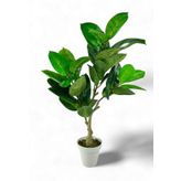 Yapay Çiçek Kauçuk Ağacı 85Cm Salon Çiçeği Beyaz Saksılı Yapay Bitki