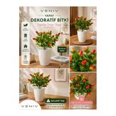 Yapay Dekoratif Kırmızı Meyve Bitkisi 40-45 Cm | Dolomit Taşlı Beyaz Saksılı