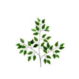 Yapay Ficus Benjamin Starlight Dalı Alacalı