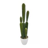 Yapay Kaktüs Ağacı Sütun Kaktüsü (Cereus Peruvianus) - Beyaz Saksıda Yapay Bitki 70*20Cm Vitrin