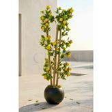 Yapay Limon Bambu Ağacı - Siyah Küre Saksılı 100 cm