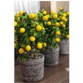 YapayÇiçekHome Yapay Limon Ağacı