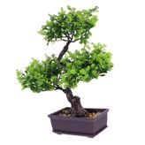 Yardenfun Yapay Bonsai Dekoratif Bitki Gerçekçi Saksı Modeli Ev İçin Şık Ve Elegant Görünüm Süre Kullanım İçin Tasarlandı