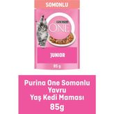 Yavru Kedi Maması Somonlu 85G