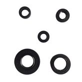 YBR 5 Lİ KRANK MOTOR KEÇE SETİ