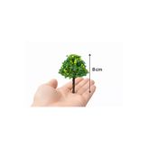 Yerli Mini Sarı Japon Limon Ağacı