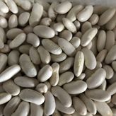 YERLİ OTURAK BEYAZ FASULYE ( HOROZ FASULYESİ ) 100 GR