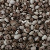 YERLİ SIRIK AYŞE KADIN FASULYE TOHUMU 500 GR (KAHVE ÇİZGİLİ BEYAZ