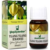 Yeşilçavdar Ylang Ylang Esansı 20ML