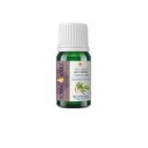 Young Souls 10 ml Aromaterapi Çay Ağacı Uçucu Yağ