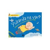 Yukarıda Ne Var? - Brita Granström Mick Manning