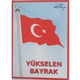 Yükselen 60x90 Bayrak
