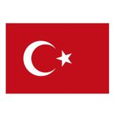 Yükselen 70x105 Bayrak