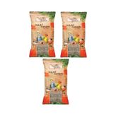 Yulaf Kuş Yemi 300 Gr 3 Adet