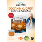 Zade Vıtal Kudret Narı