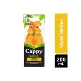 ZAYKA Cappy Kayısı Nektarı 200 Ml