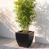 Zenith 30 cm Kare Kavisli Saksı – İç ve Dış Mekan Modern Metal Saksılık (30×30/20 cm) (Siyah)