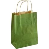 Zero Land Csmo-Tex 8X15X20 cm Kraft Büküm Saplı Kağıt Poşet 1 Adet Yeşil - TEK