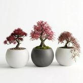 ZEVLİ Japandi Tarzı Modern Küre Saksı 3'lü Set - Su Sızdırmaz Dekoratif Salon ve Balkon Saksısı Hediyelik Çiçeklik Seti (Beyaz ve Koyu gri, Orta Boy)