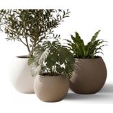 Zevli Japandi Tarzı Modern Küre Saksı 3'lü Set - Su Sızdırmaz Dekoratif Salon ve Balkon Saksısı Hediyelik Çiçeklik Seti (Sahra Kumu & Mermer Beyaz - Standart - Çok Renkli