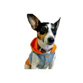 ZIGGYDOG TURUNCU KÖPEK KOT YELEK