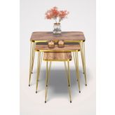 Zigon Sehpa Kr Gold Ceviz Tel