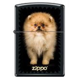 Zippo Puppy Çakmak