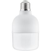 ZMR 10'lu Paket 20WATT Torch LED Ampül