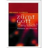 Zürnt Gott wirklich?: Fragen an Paulus