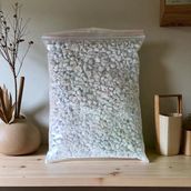1 Kg İstiridye Mantar Tohumu( 4 Adet Ekim Poşeti Hediyeli)