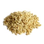1000 gr Dolmalık Helvalık Yer Fıstığı