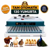 130 Yumurta Kapasiteli Tam Otomatik Kuluçka Makinesi
