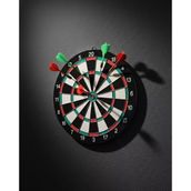 17 İnç Dart Tahtası Sağlam Ahşap Gövde Metal İğneli Dart Okları