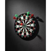 17 İnç Dart Tahtası Sağlam Ahşap Gövde Ve Metal İğneli Dart Okları