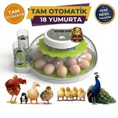 18 Yumurta Kapasiteli Tam Otomatik Kuluçka Makinesi